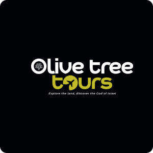Olive Tree Tour